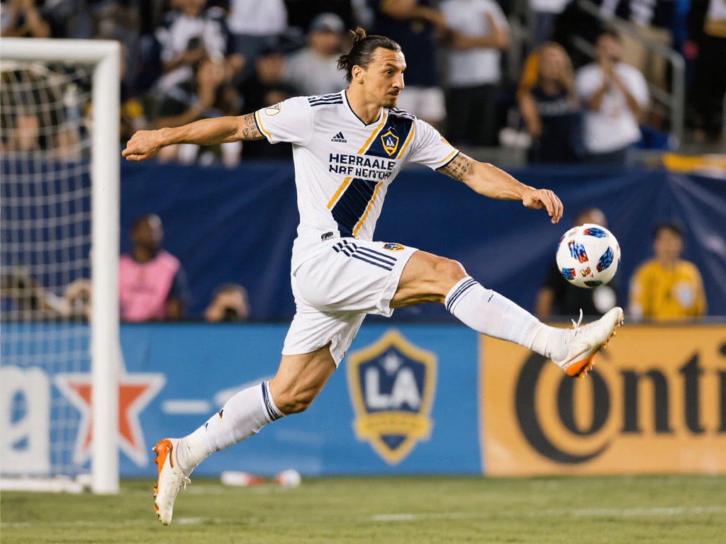 社交互动中 社交互动中