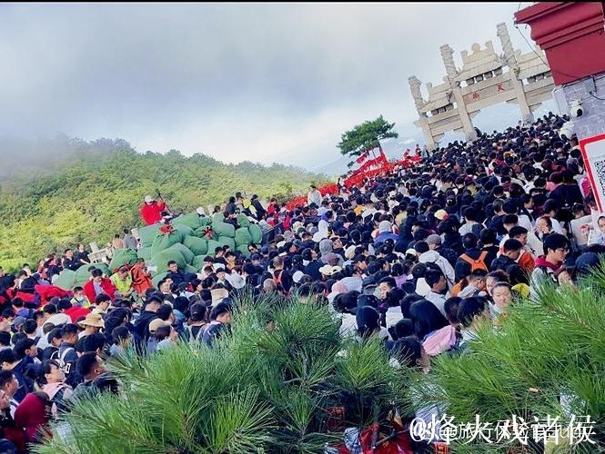 泰山强势反弹偶然抑或必然？内部惋惜本该拿下海港